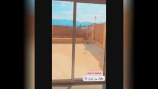 فیلم