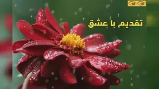دوستت دارم
