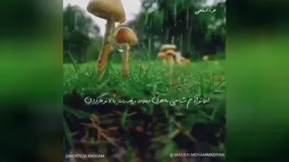 متولدین خرداد