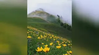 طبیعت