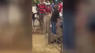 هیچ وقت سر به سر یه گاو نزارید 🤣🤣🤣