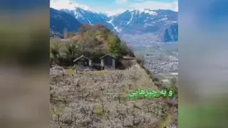 قانون عشق و شکرگذاری
