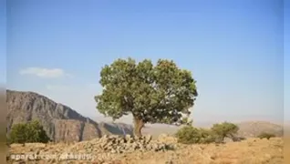 اهنگ دشتی با حال