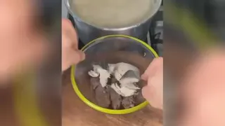حلیم نیشابوری