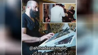 رضا معارف بهار زندگی