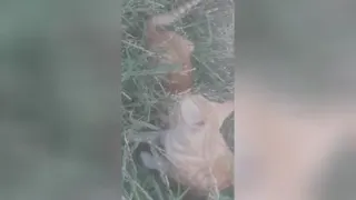 شکار لحظه