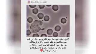 وقتی احساس تنهایی کردی این کلیپ را ببین