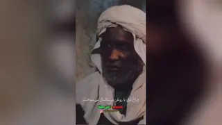 عدالت علی (ع)