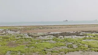 sahel