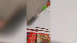 فیلم آموزش نقاشی