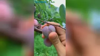جالب ودیدنی 👌