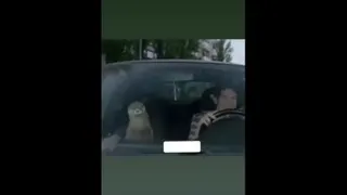 ماسکشو جا گذاشته 😂😜