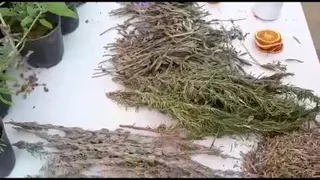 آموزش اسماج _ جلسه سوم