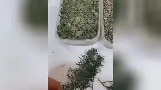 آموزش اسماج، جلسه اول