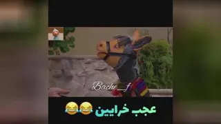 جناب جیگر