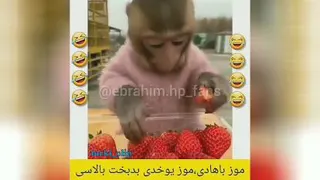 فیلم طنز