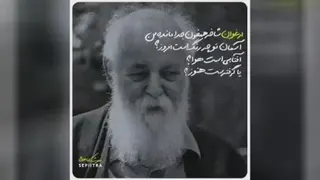 ارغوان ..