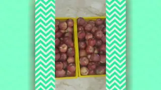 میوه خشک