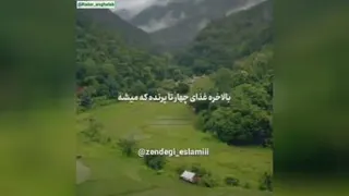 قضاوت به جای خدا