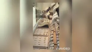مدیران طلا
