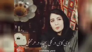 چله های با صفا را این فلک از ما گرفت