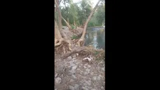 طبیعت زیبا