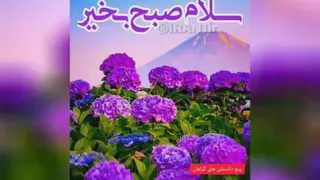 طبق طبیعت!