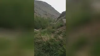 طبیعت(حس خوب)