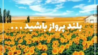 کلیپ انگیزشی _بلند پرواز باشید