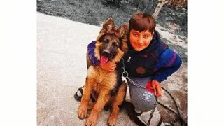 تربیت سگ بشین 👌