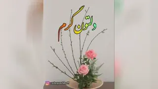 موزیک ویدئو