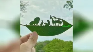 معرق برگ