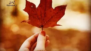اخبار کرونا