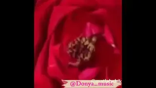دعای خیر