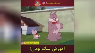 آموزش سگ بودن😂