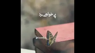 اعتماد