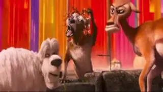 انیمیشن " گربه ها و پیچتوپیا 2018 "