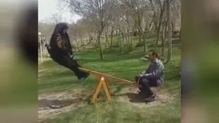 مرده سرویس شد بد بخت