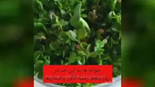 سبزه عید