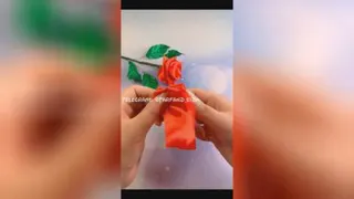 گل سرخ با روبان