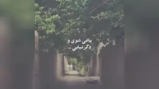 ستار العویوب
