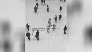 تایید نظر دیگران