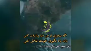 تلاش کردن