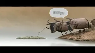 عاقبت بحث با احمق