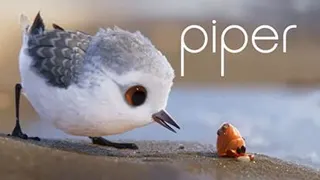 انیمیشن کوتاه Piper 2016