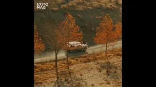 نمیخوای ببینی