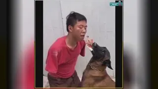 وفاداری
