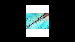 عصر طلایی