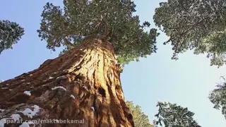 کوچینگ سکویاـ قسمت 9