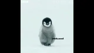 از بورس چه خبر!؟؟؟
